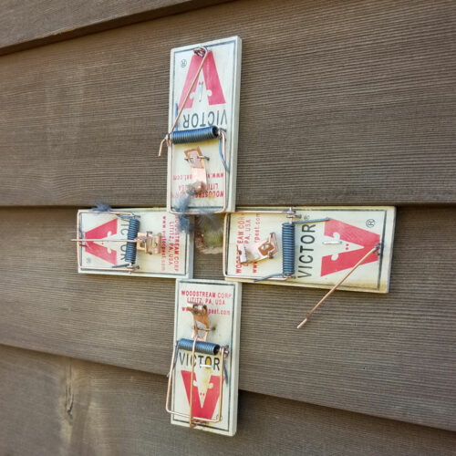 Professional Rat Exterminator